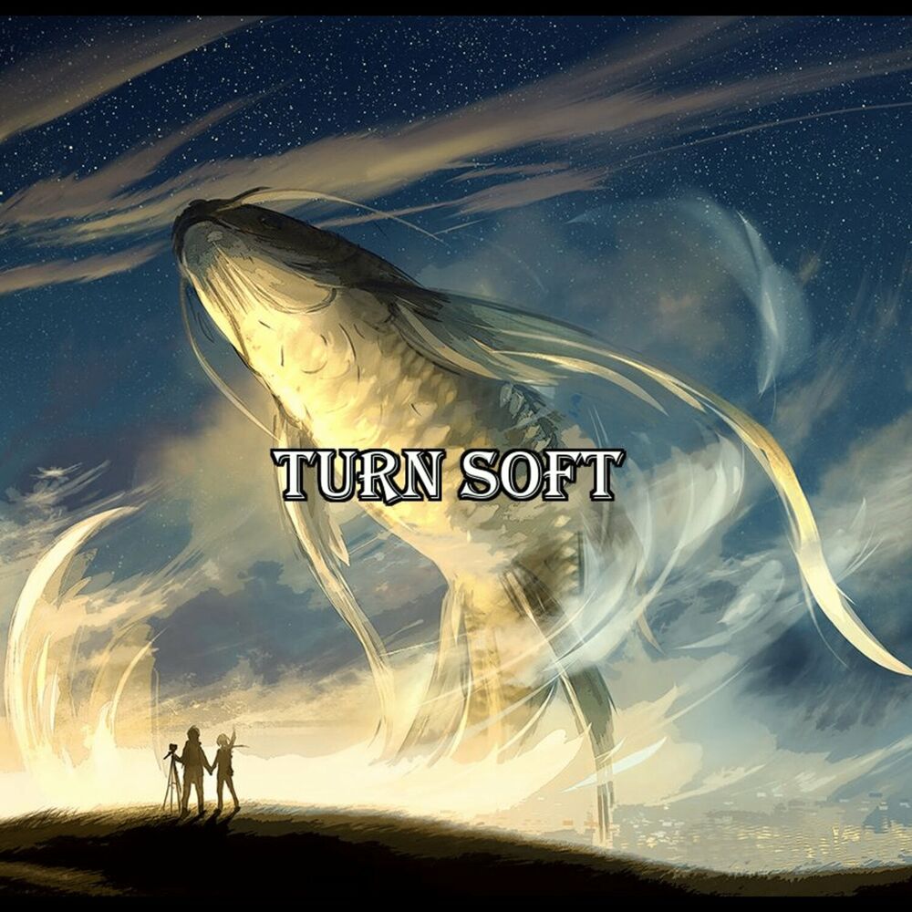 Picture of turn soft