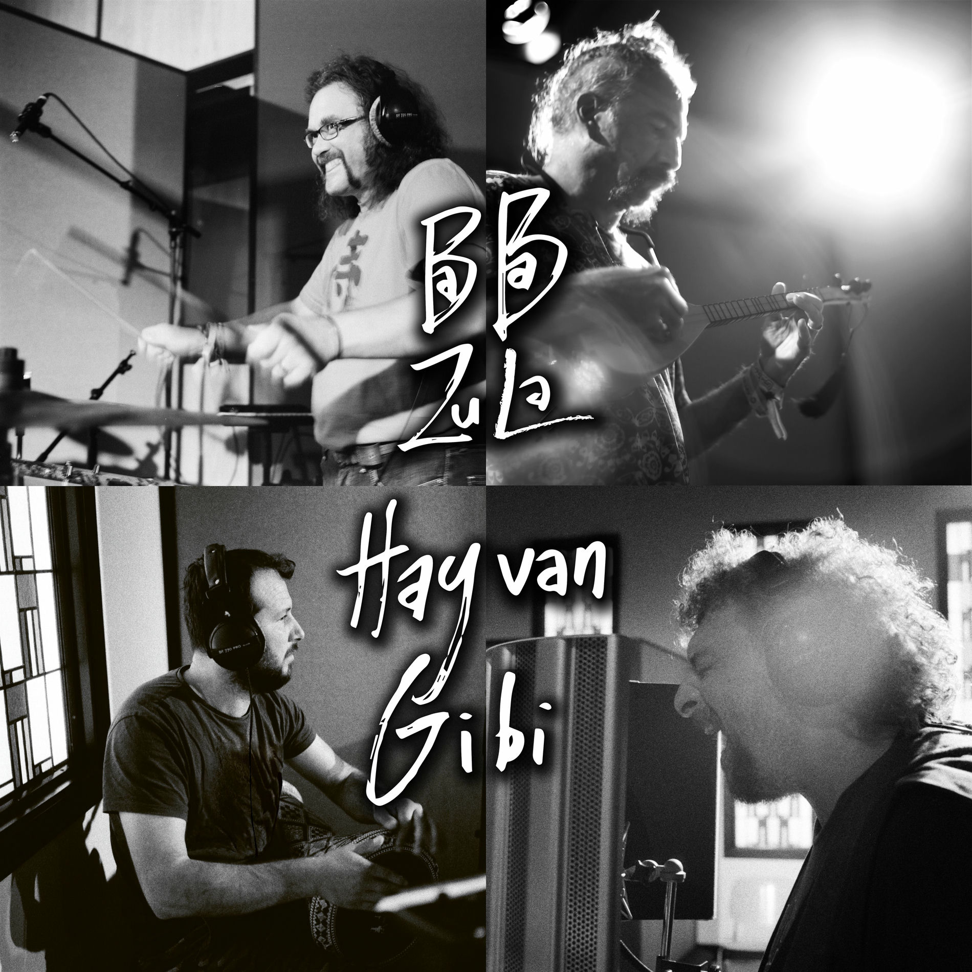 Album cover of Hayvan Gibi