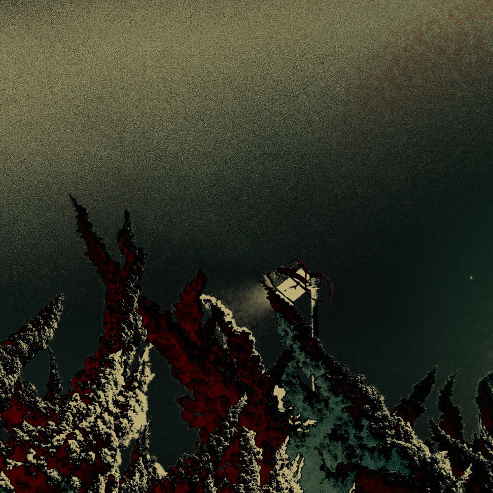 Picture of Brombron 22: Root and Branch