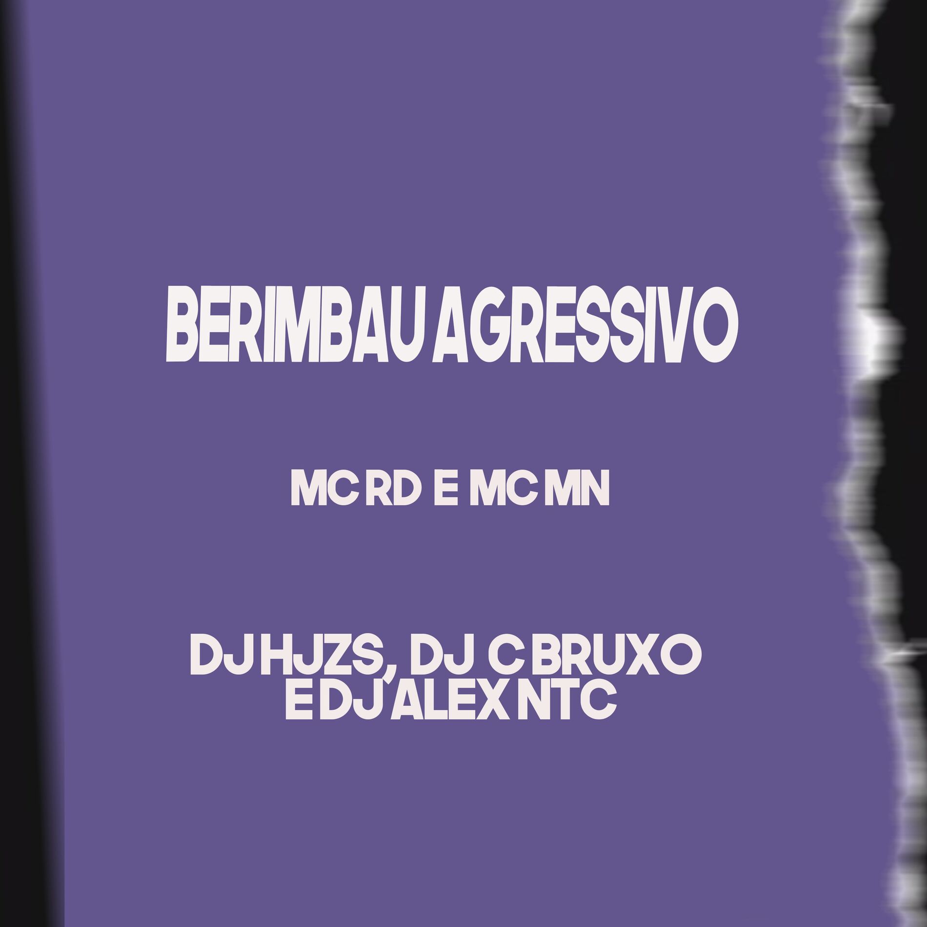 Album cover of Berimbau Agressivo