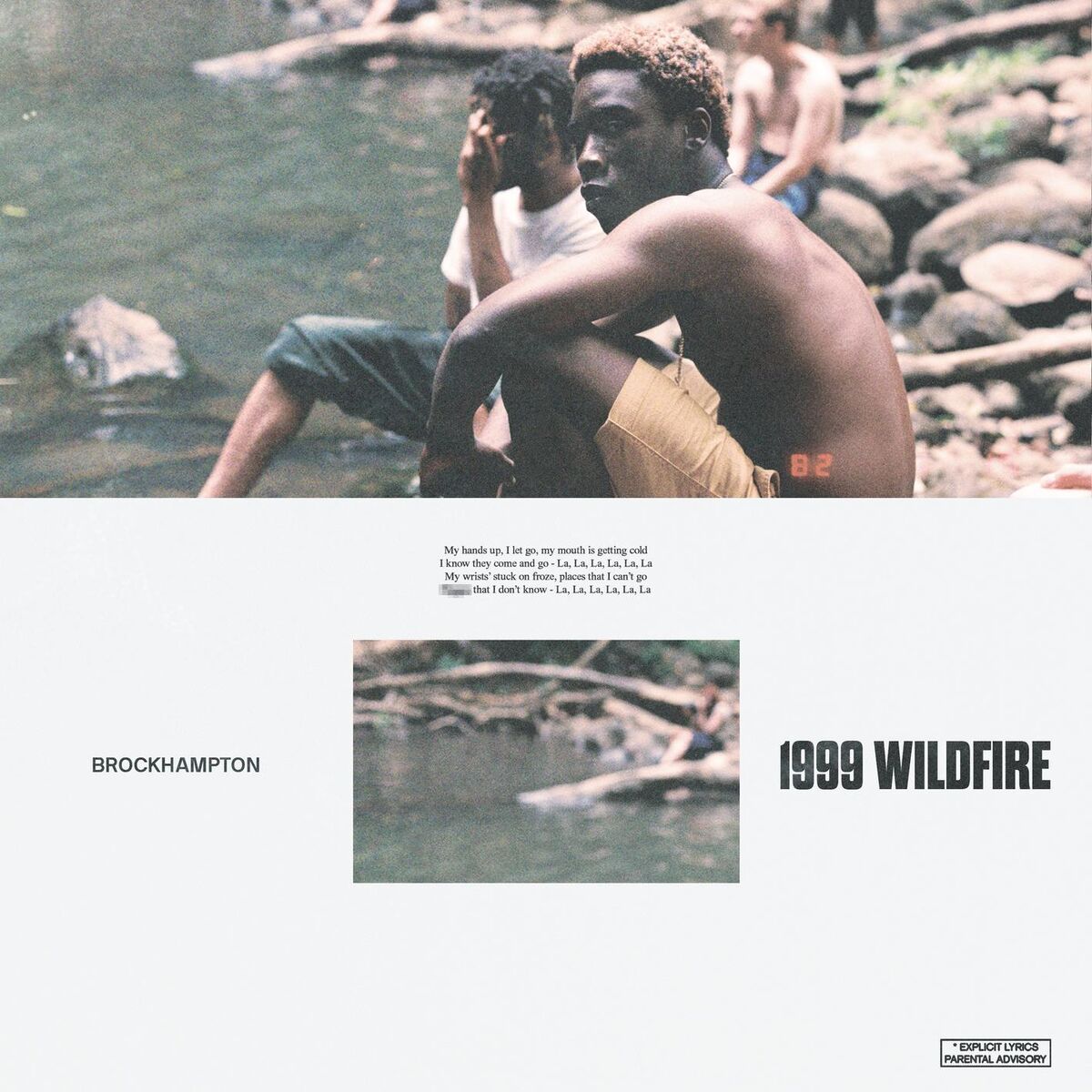 Album cover of 1999 WILDFIRE