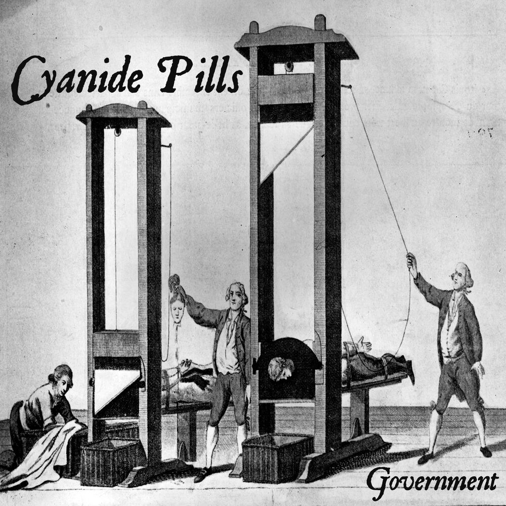 Picture of Government