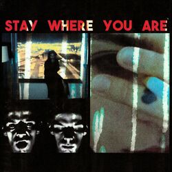 Cover of Stay Where You Are