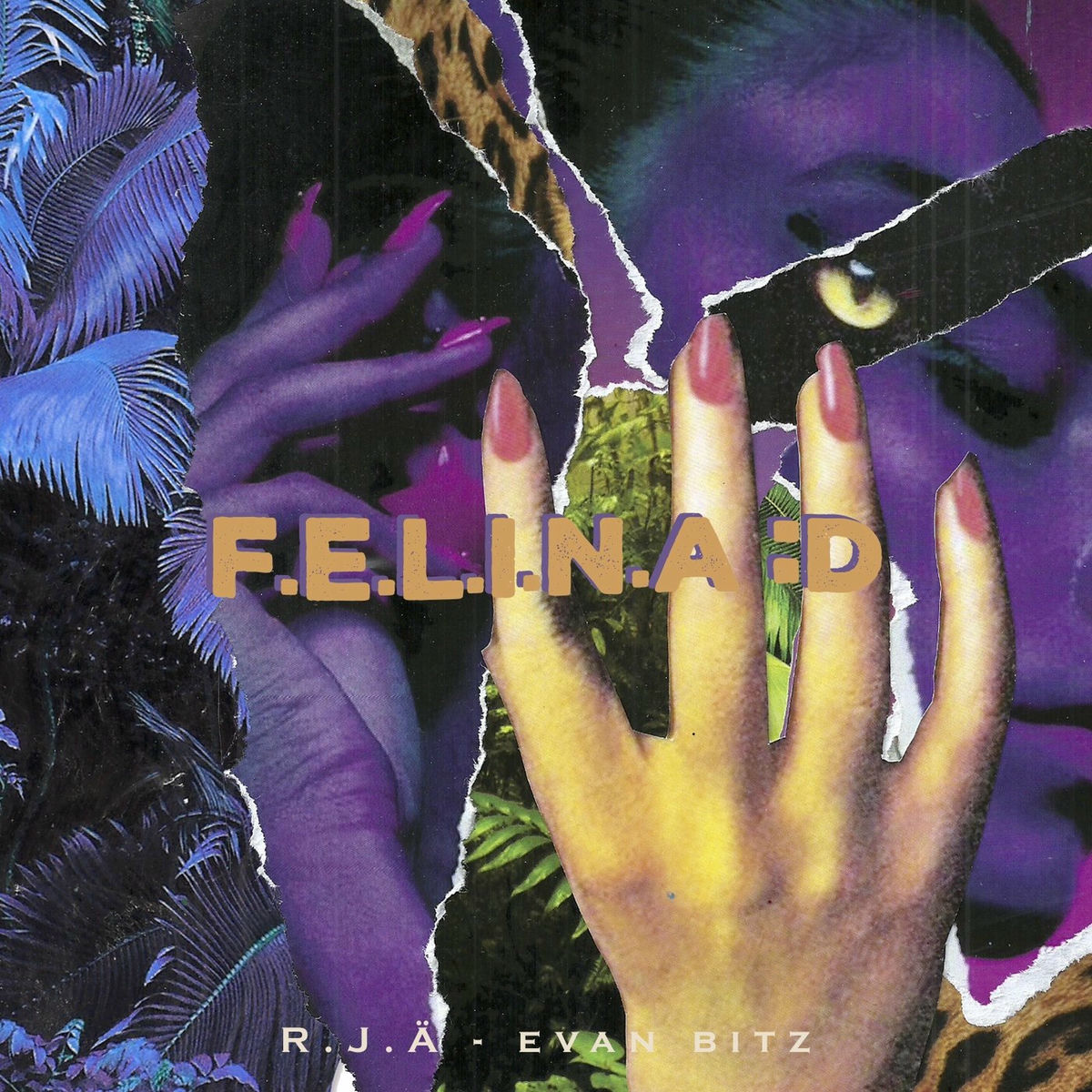 Album cover of F.E.L.I.N.A :D