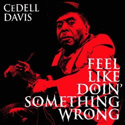 Cover of Feel Like Doin' Something Wrong