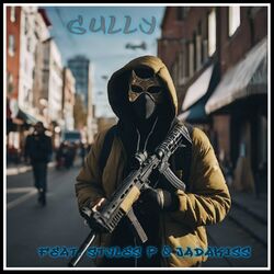 Cover of Gully