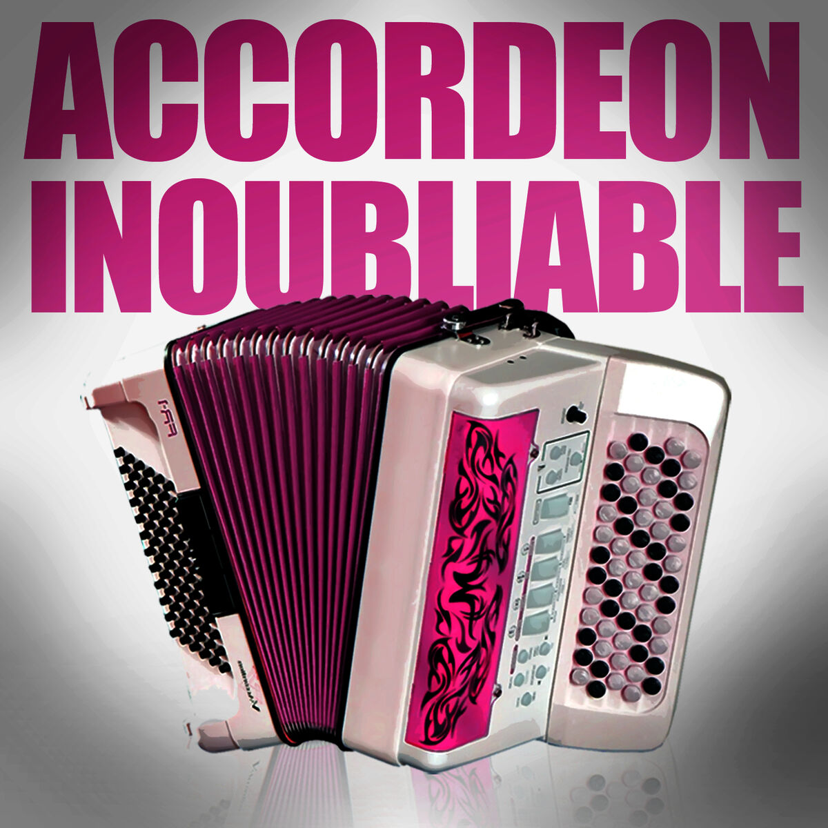 Album cover of Accordéon Inoubliable