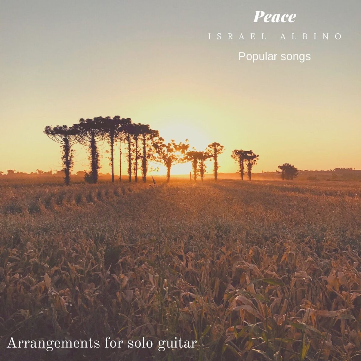 Album cover of Arrangements for Solo Guitar