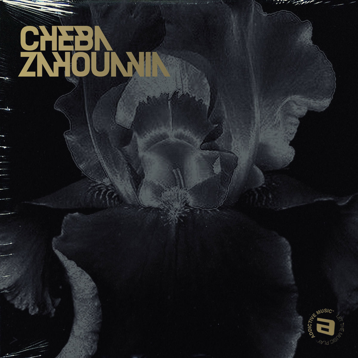 Album cover of By Cheba Zahouania