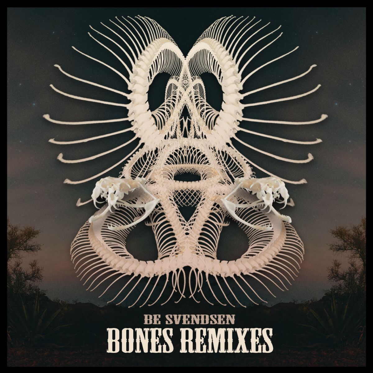 Album cover of Bones