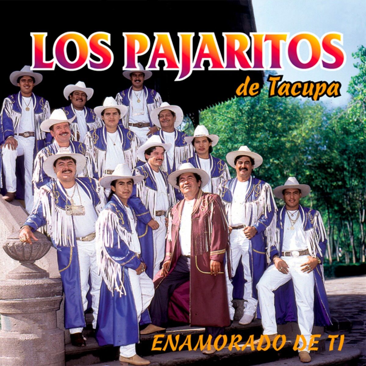 Album cover of Enamorado de Ti