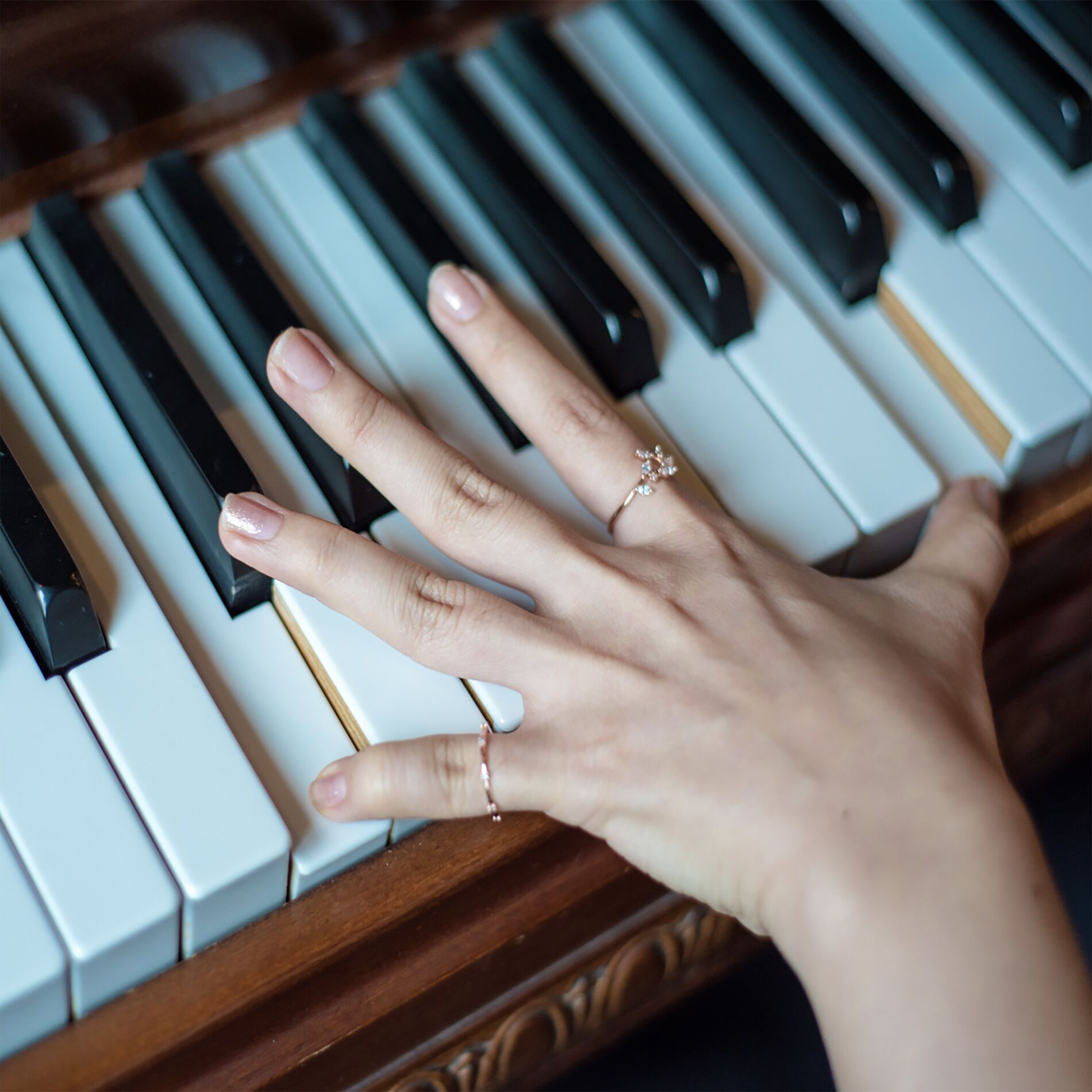 Album cover of Adele - Piano Covers