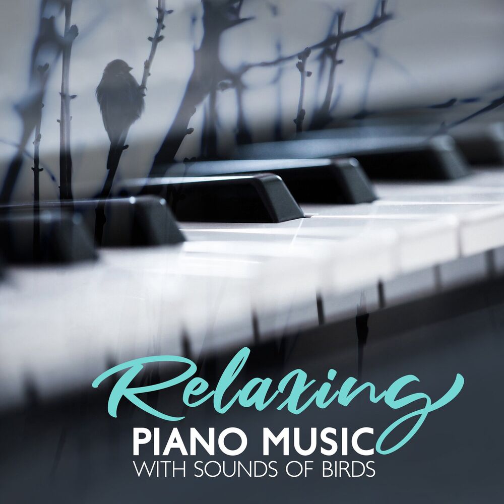 Picture of Relaxing Piano Music with Sounds of Birds for Meditation: Study, Harmony and Serenity