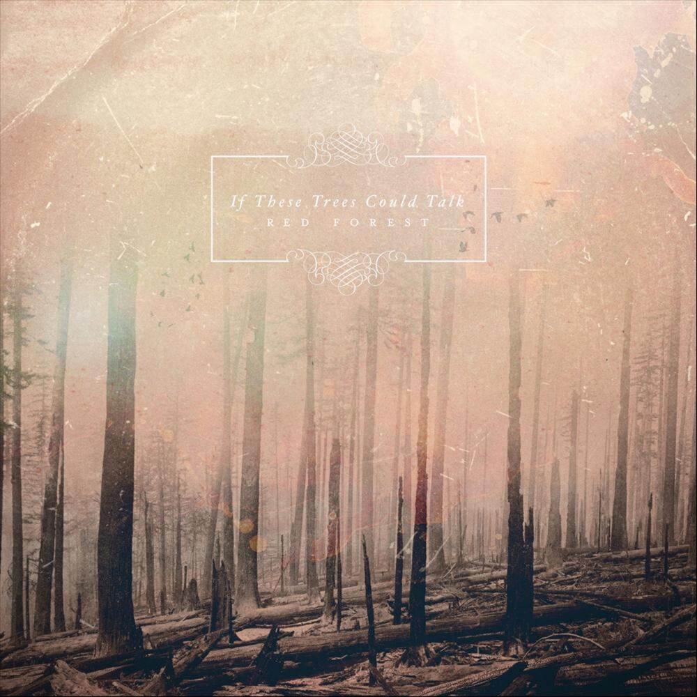 Picture of Red Forest