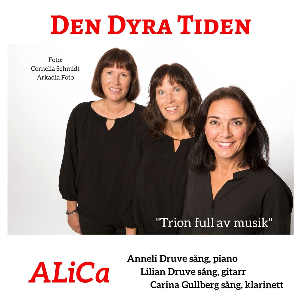 Picture of Den Dyra Tiden