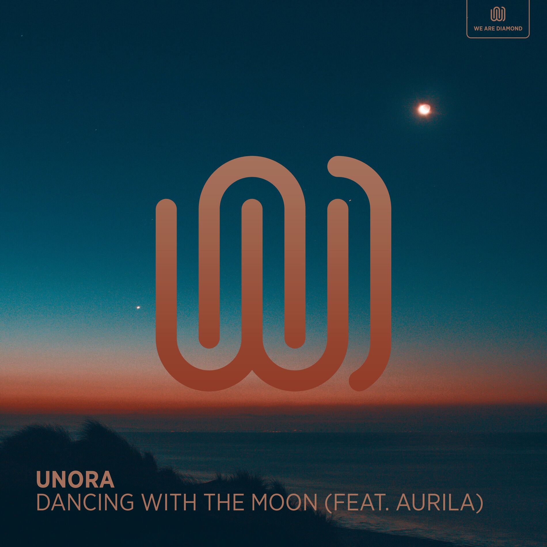 Album cover of Dancing with The Moon