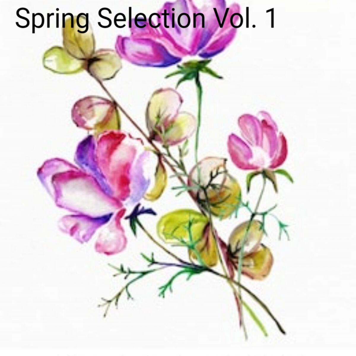Album cover of Spring Selection, Vol. 1
