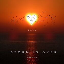 Cover of Storm is Over