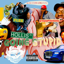 Cover of Flee Going Stoopid