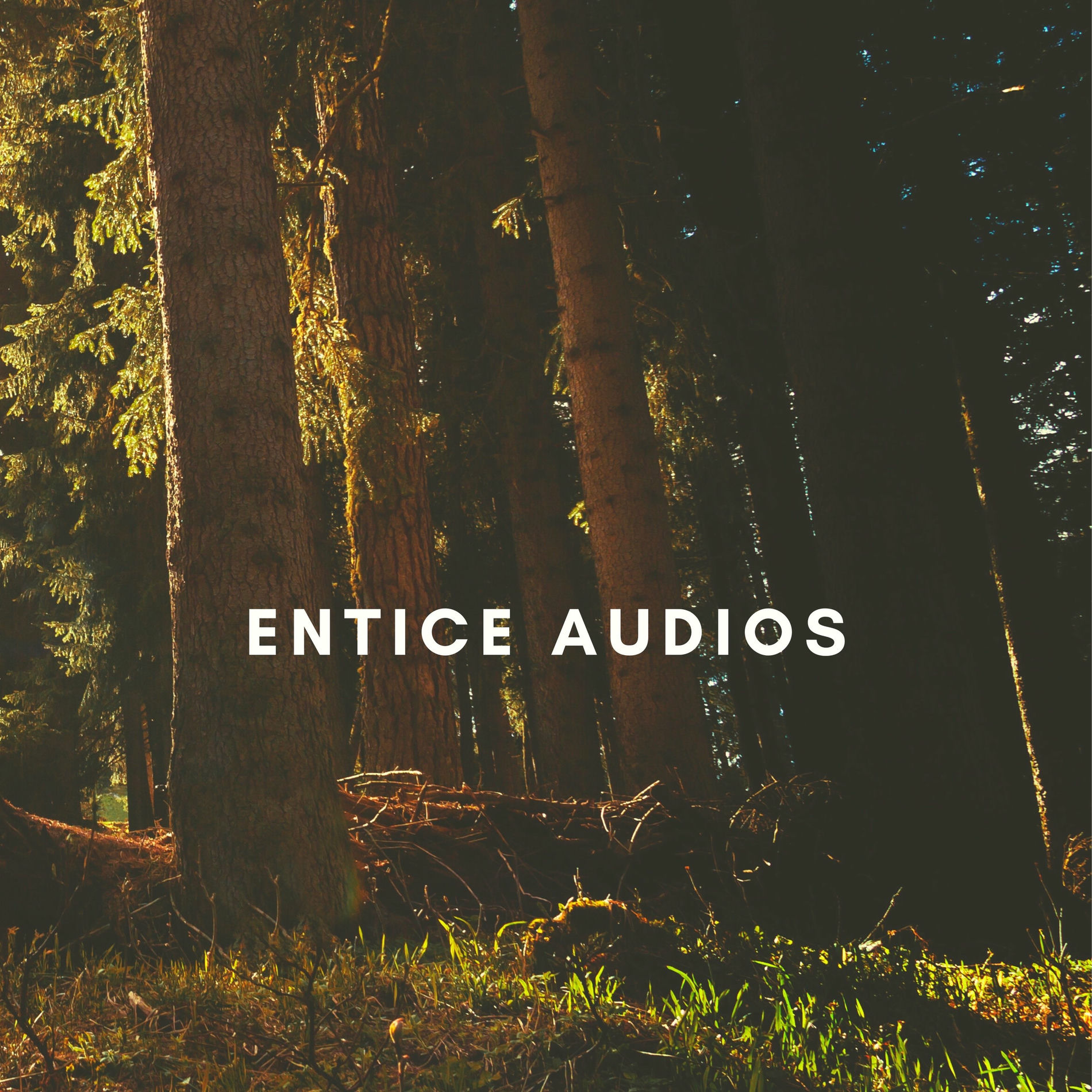 Album cover of Entice Audios