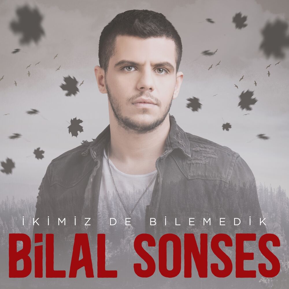 Picture of İkimiz de Bilemedik
