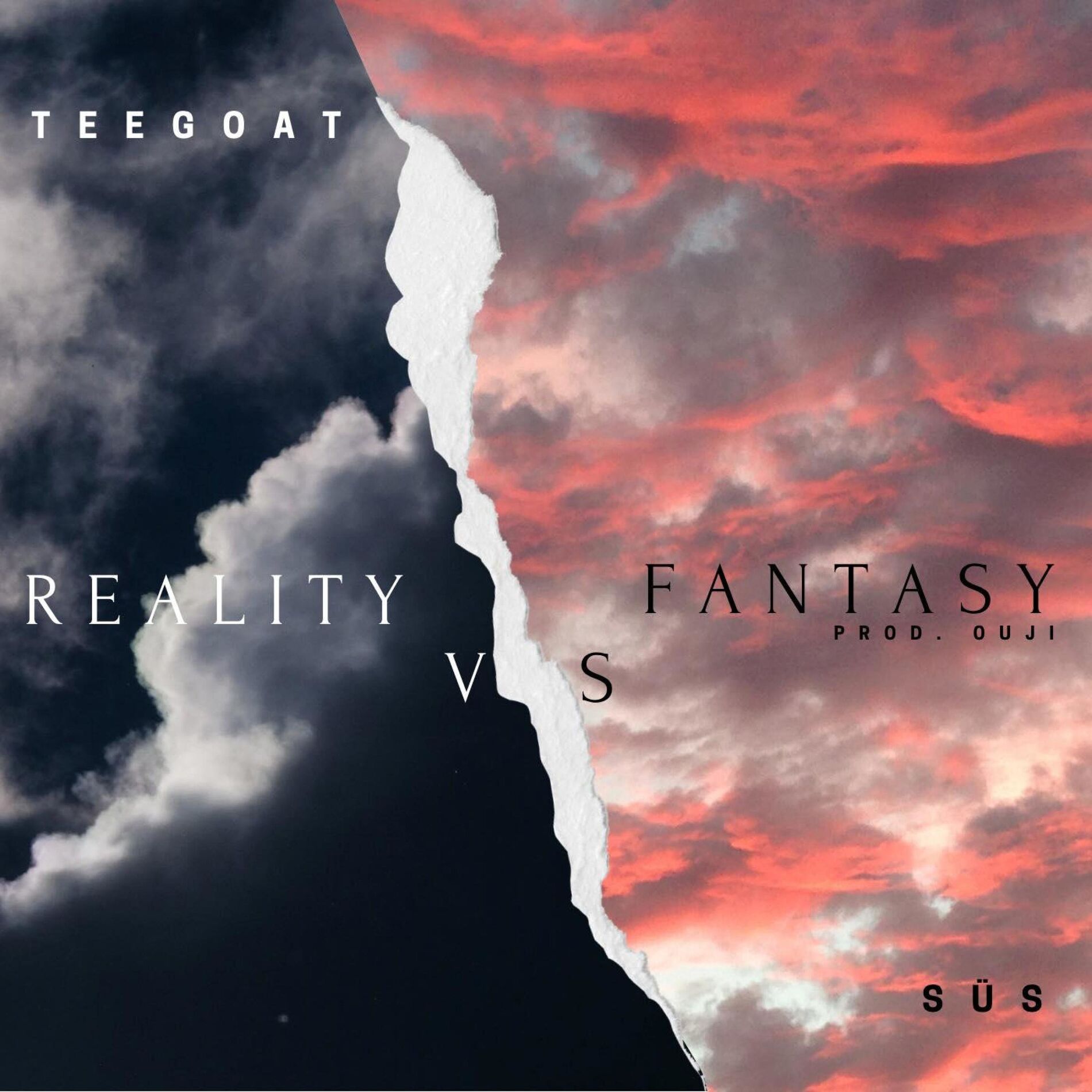 Album cover of Reality vs Fantasy (feat. SÜS)