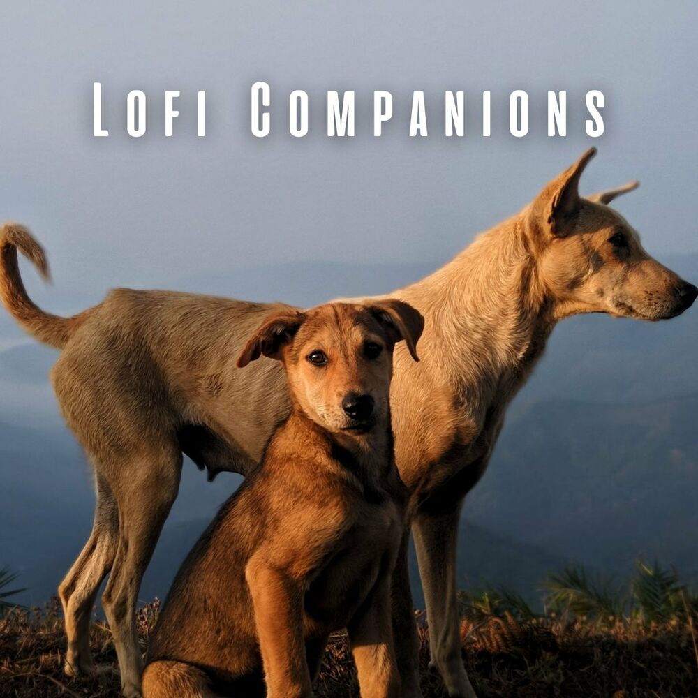 Picture of Lofi Companions: Therapeutic Dog Soundscapes