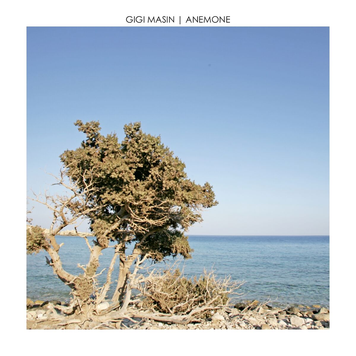 Album cover of Anemone