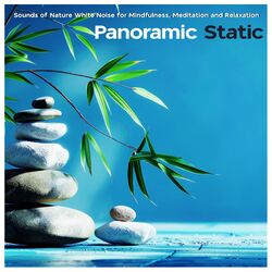 Cover of Panoramic Static