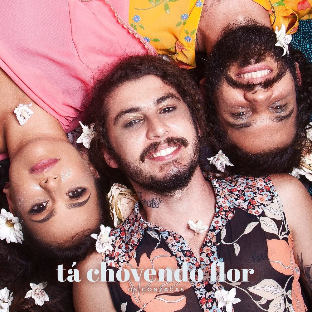Picture of Tá Chovendo Flor