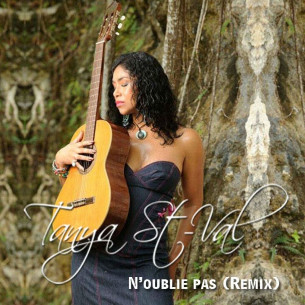 Picture of N'oublie pas (Remix)