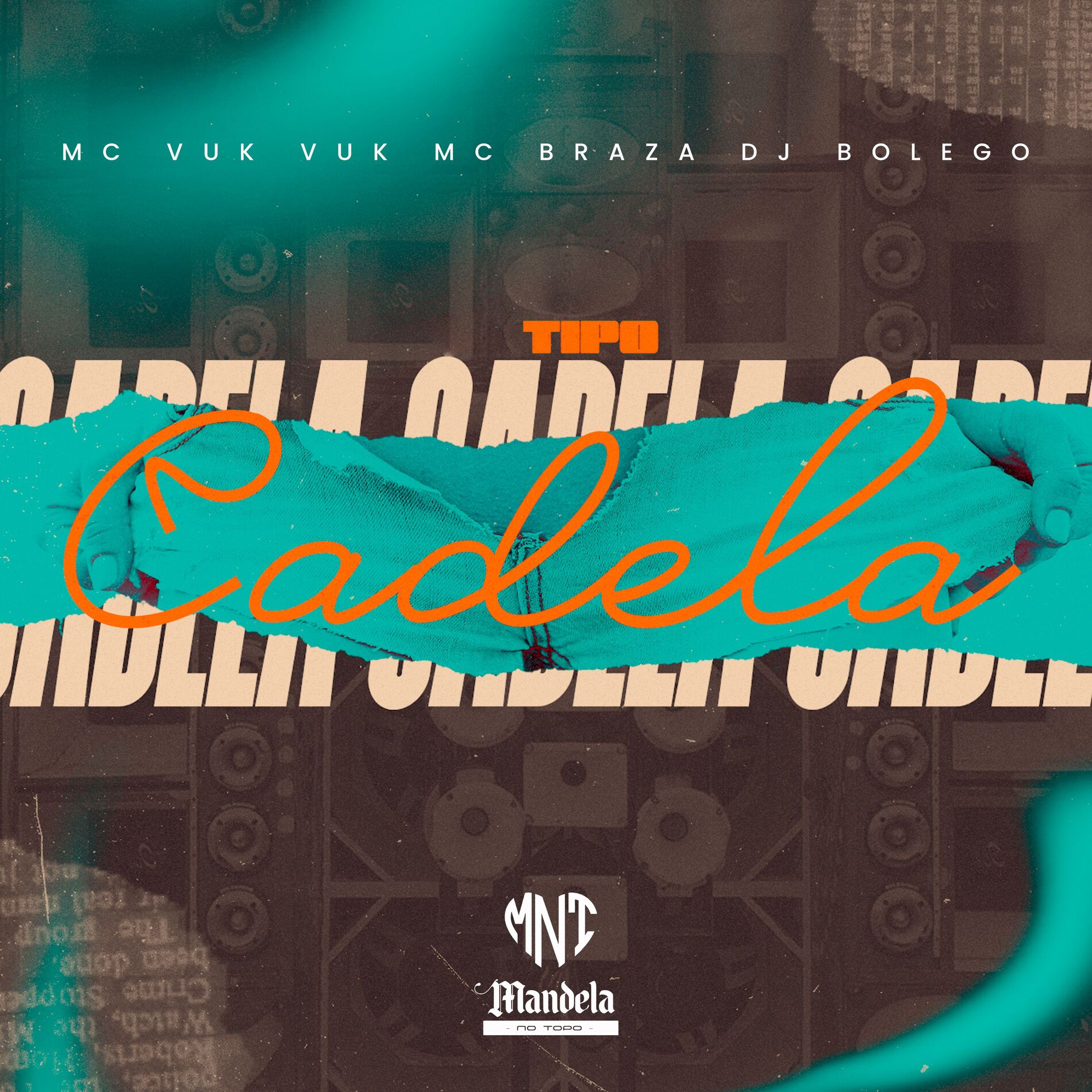 Album cover of Tipo Cadela