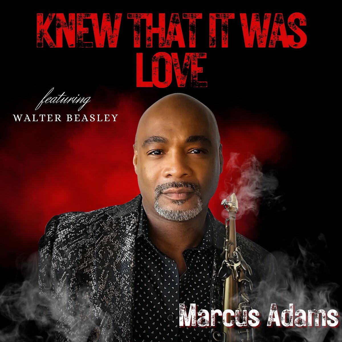 Album cover of Knew That It Was Love
