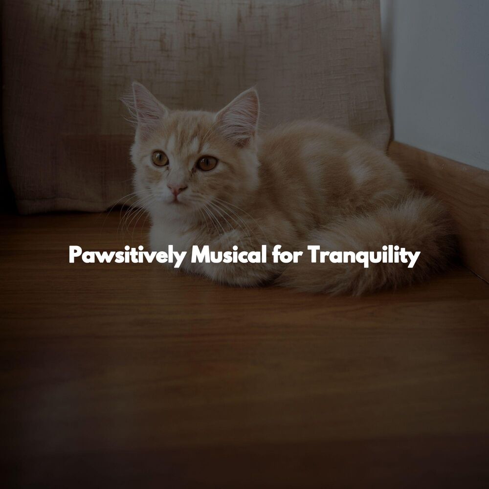 Picture of Pawsitively Musical for Tranquility