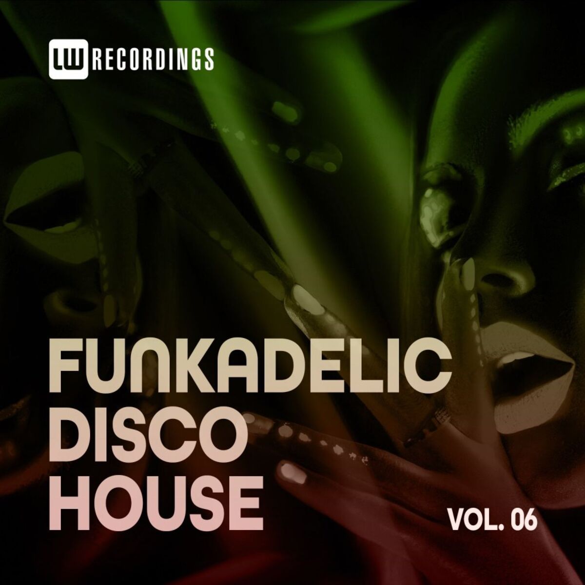 Album cover of Funkadelic Disco House, 06