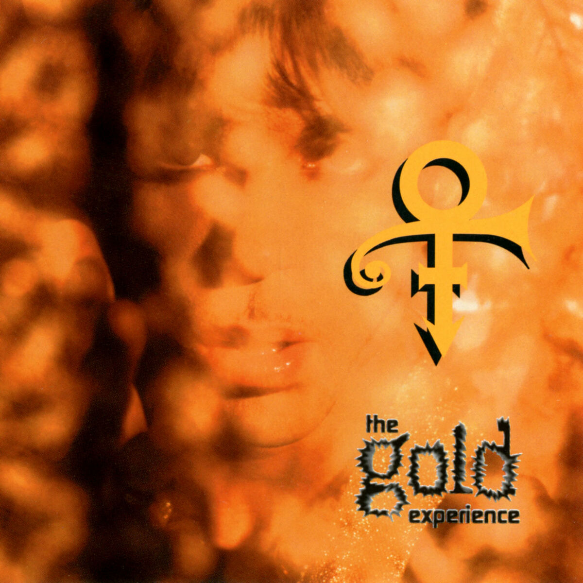 Album picture of The Gold Experience
