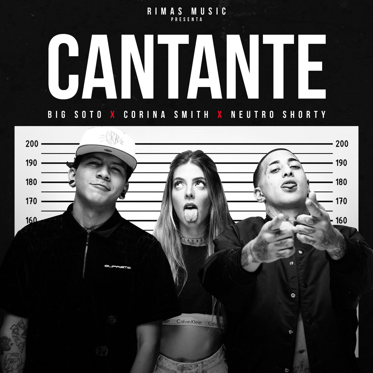 Album cover of Cantante