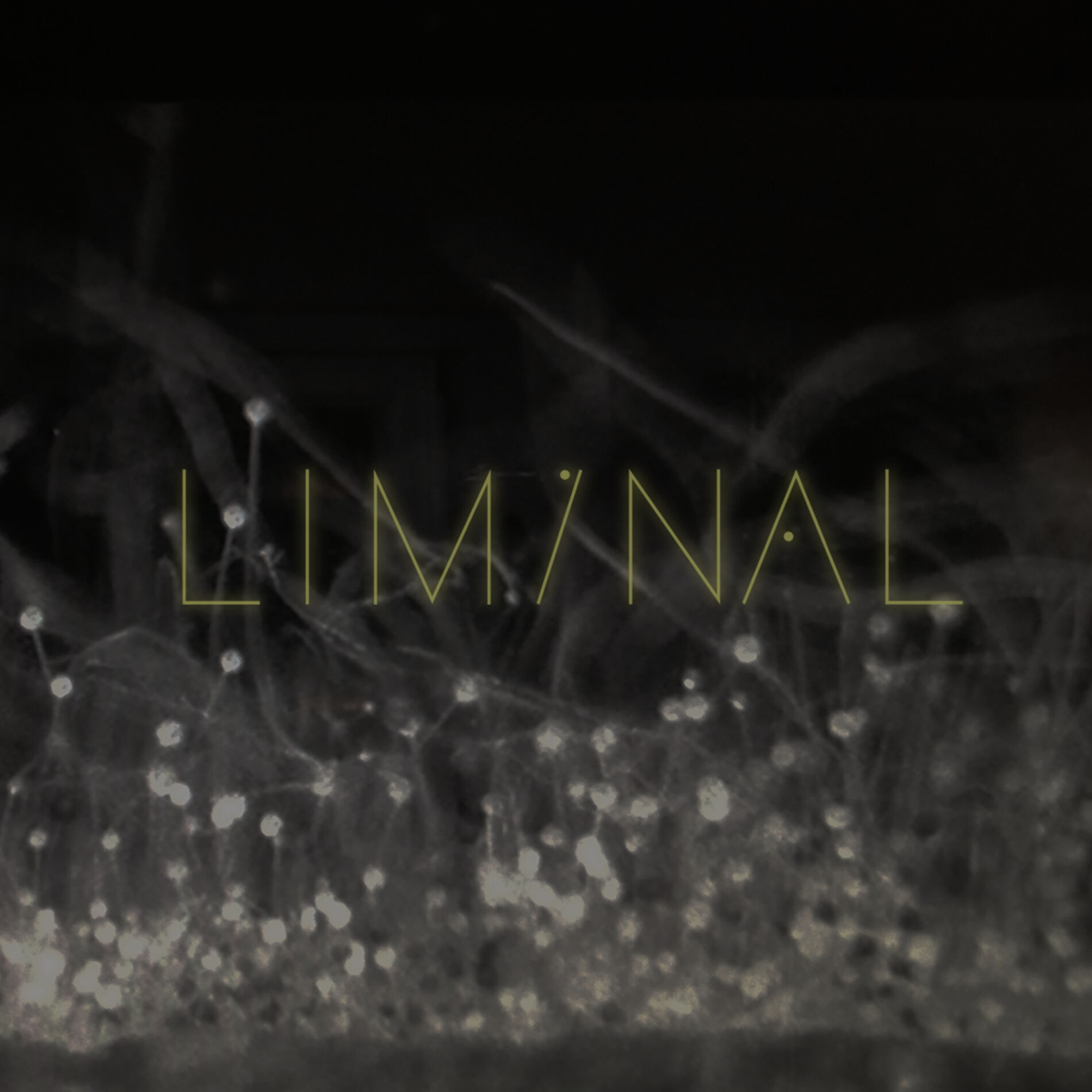 Album cover of Liminal 2
