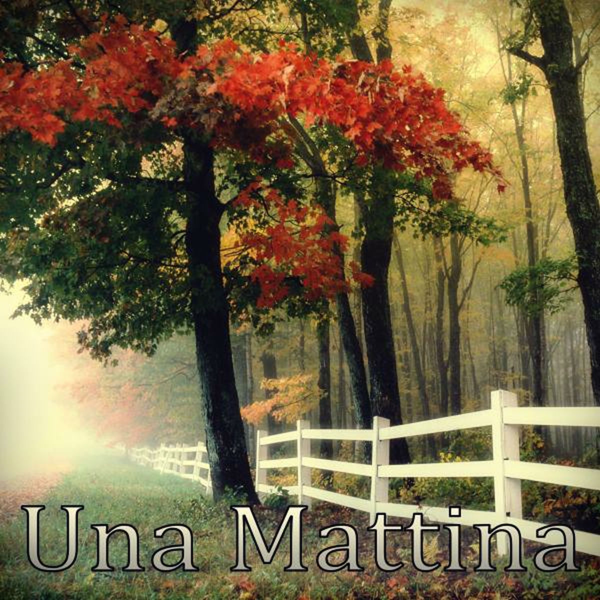 Album cover of Una Mattina (Long Version)