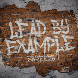 Cover of Lead by Example