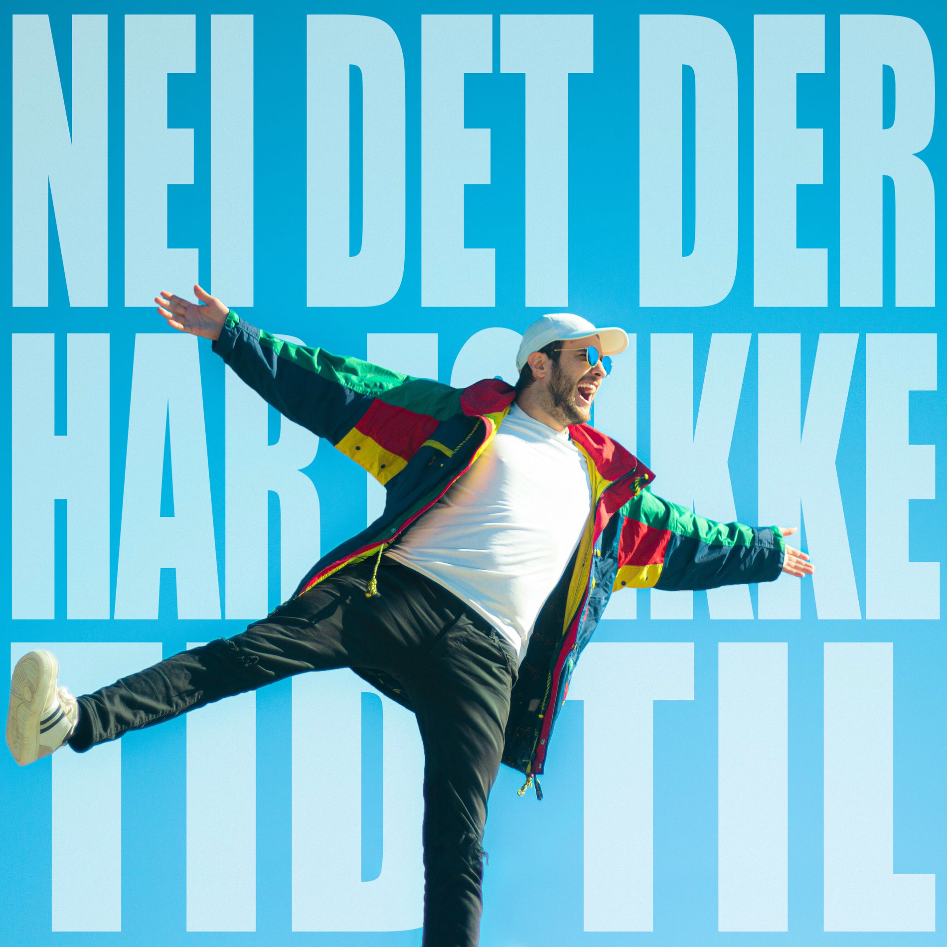 Album cover of NEI DET DER HAR EG IKKE TID TIL