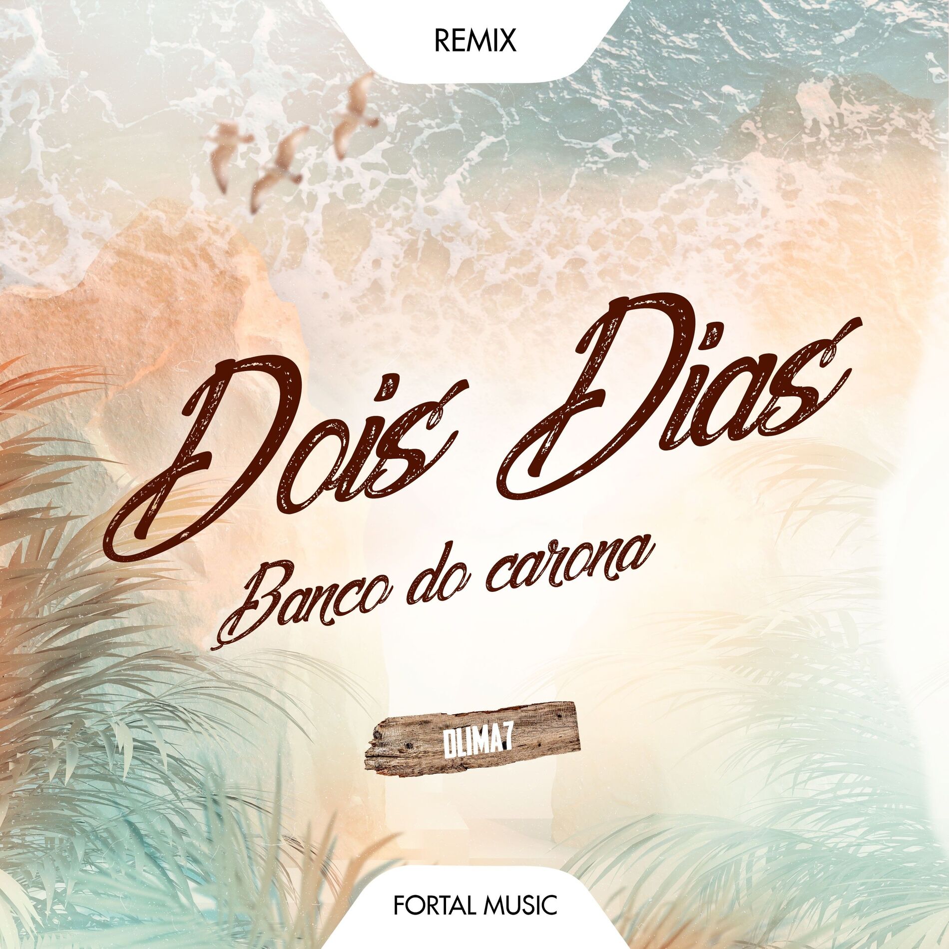 Album cover of Dois Dias (Banco do Carona - Remix)