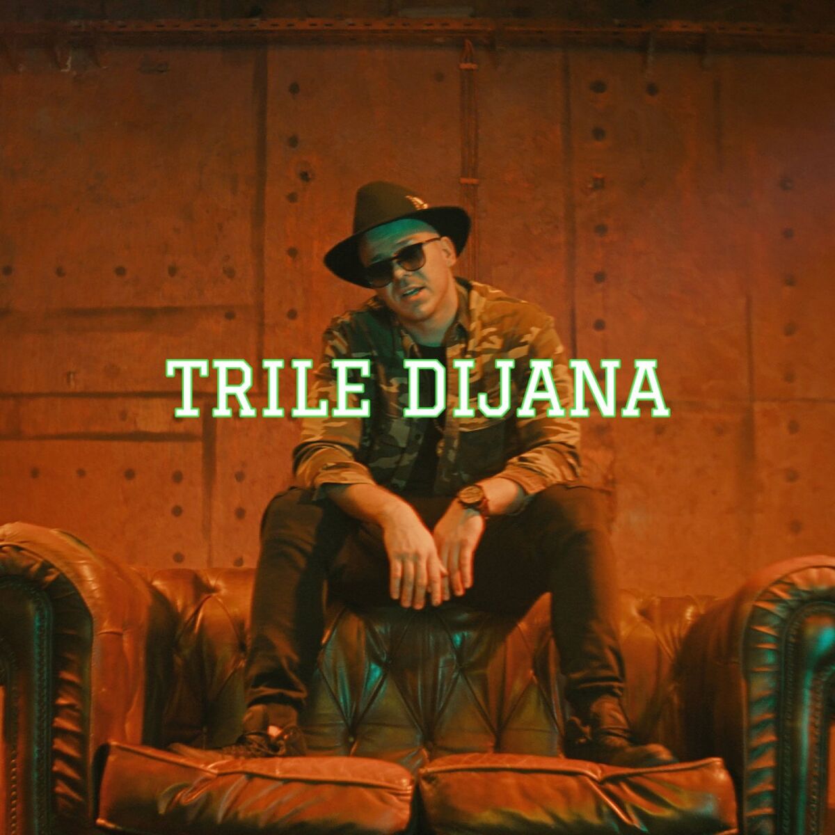 Album cover of Dijana