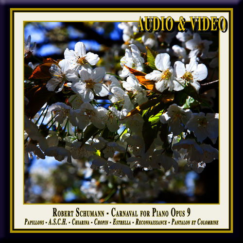 Schumann: Carnaval for Piano Op.9 - (3) Papillons-A.S.C.H.-Chiarina-Chopin-Estrella-Reconnaissance-PantalonEtColombine