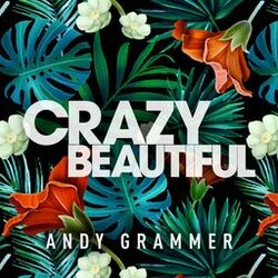 Cover of Crazy Beautiful EP