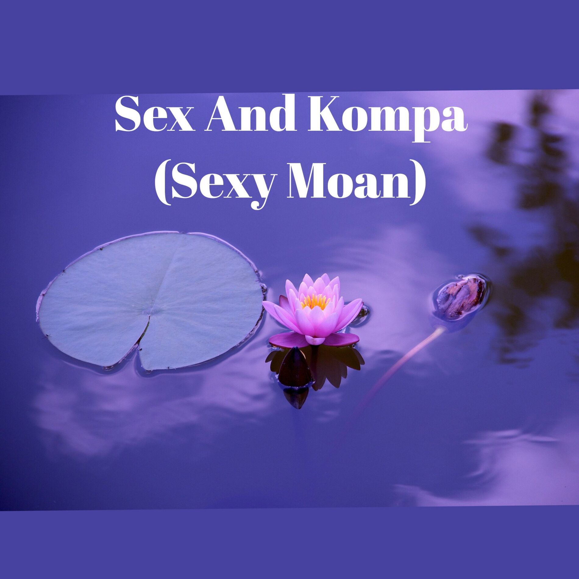 Album cover of Sex and Kompa (Sexy Moan)