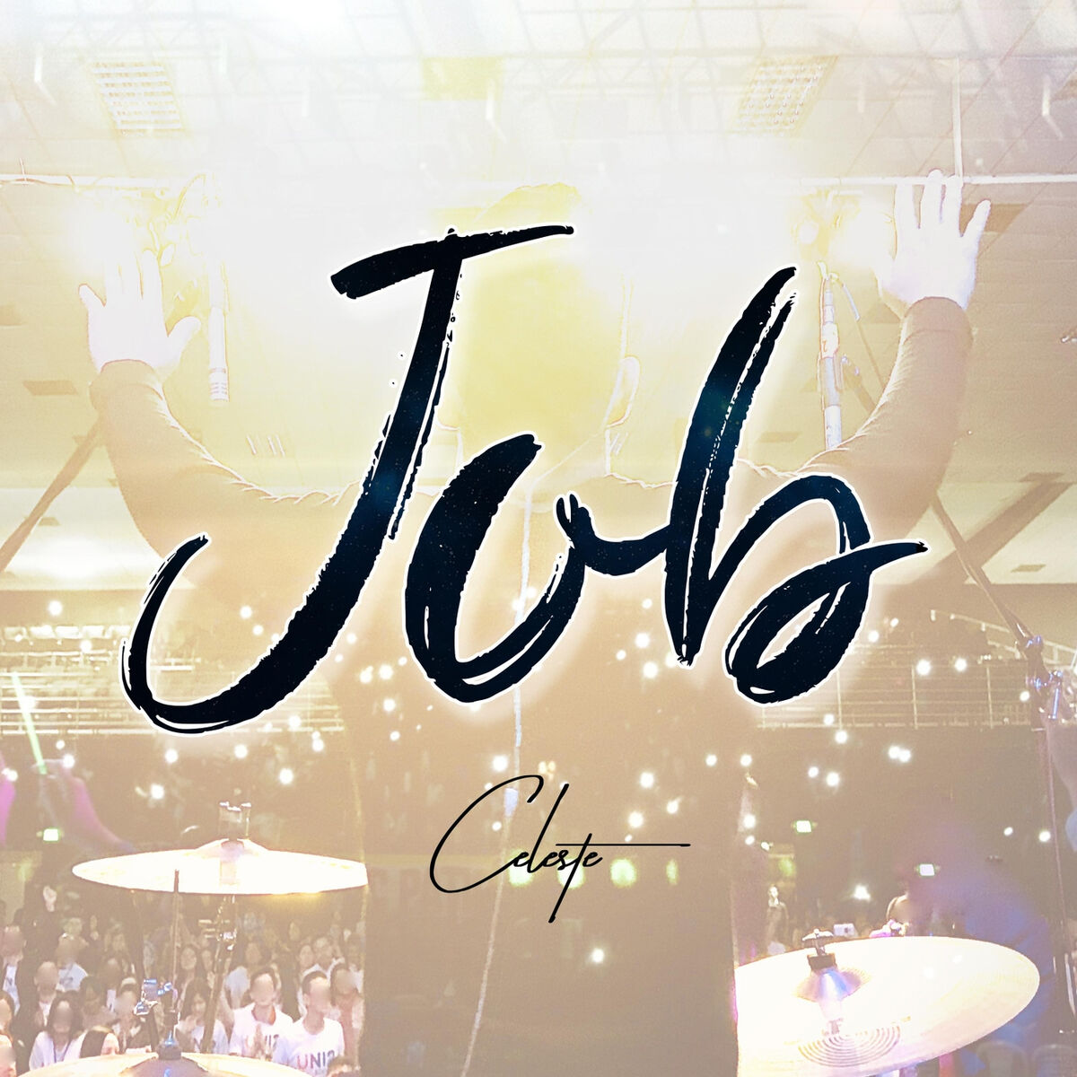 Album cover of Job