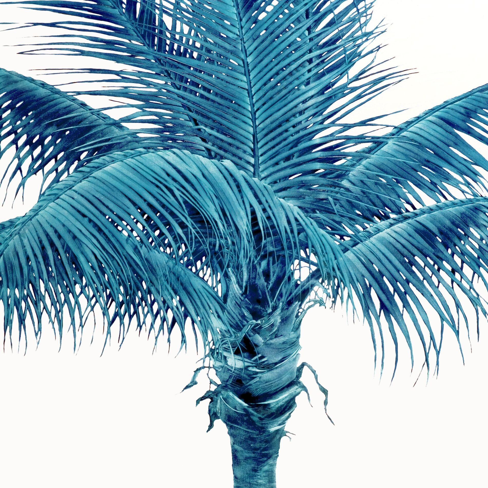 Album cover of Baba
