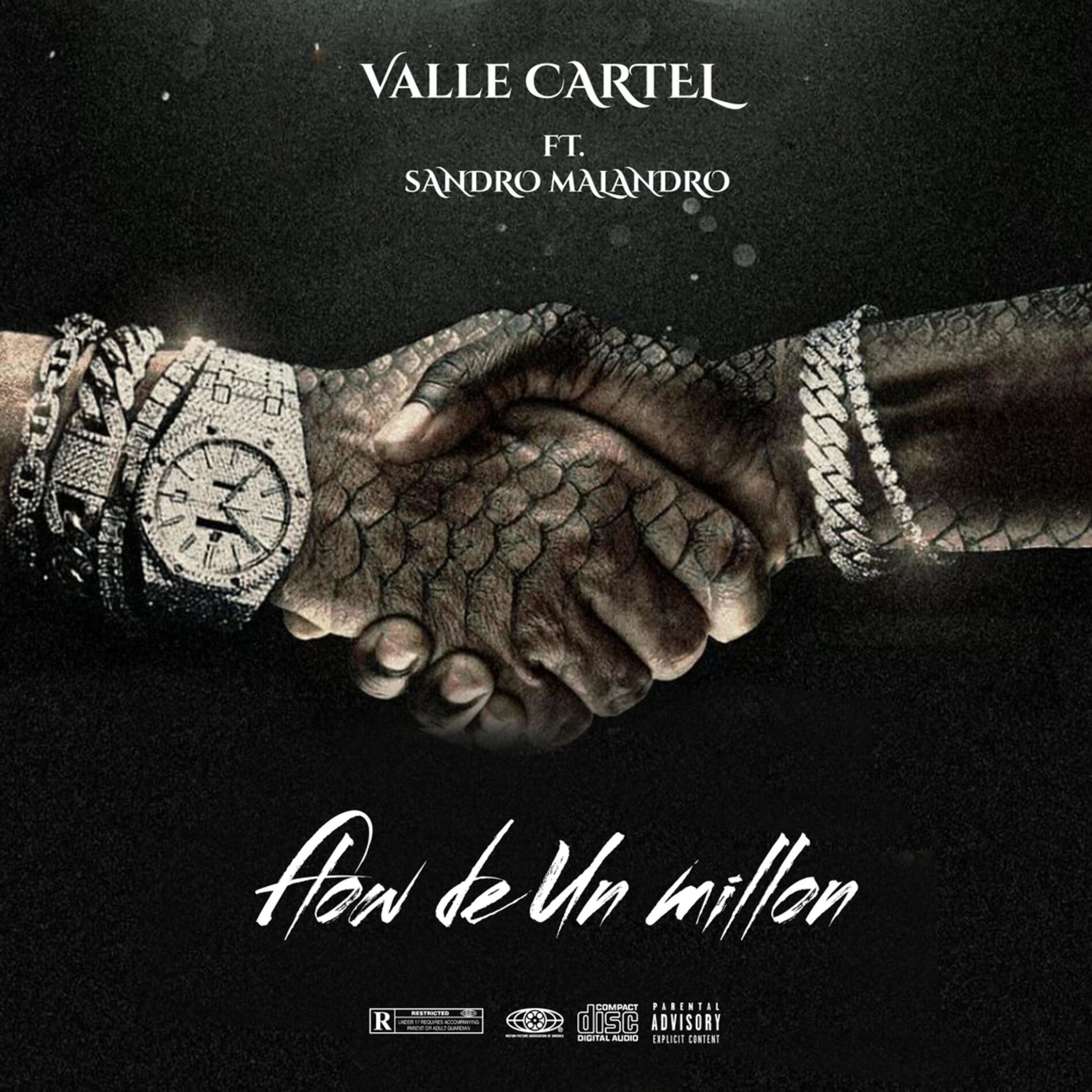 Album cover of Flow De Un Millon (feat. Sandro Malandro)