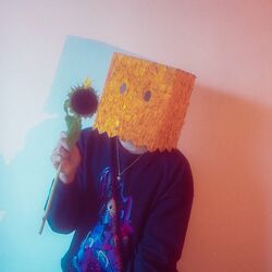 Cover of Bonita y Triste
